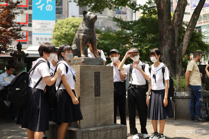 摄影丨东京印象 摄影丨东京印象