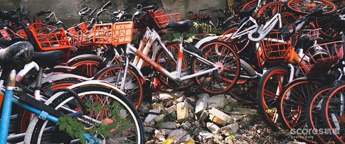 摄影分享丨这一年 摄影分享丨这一年