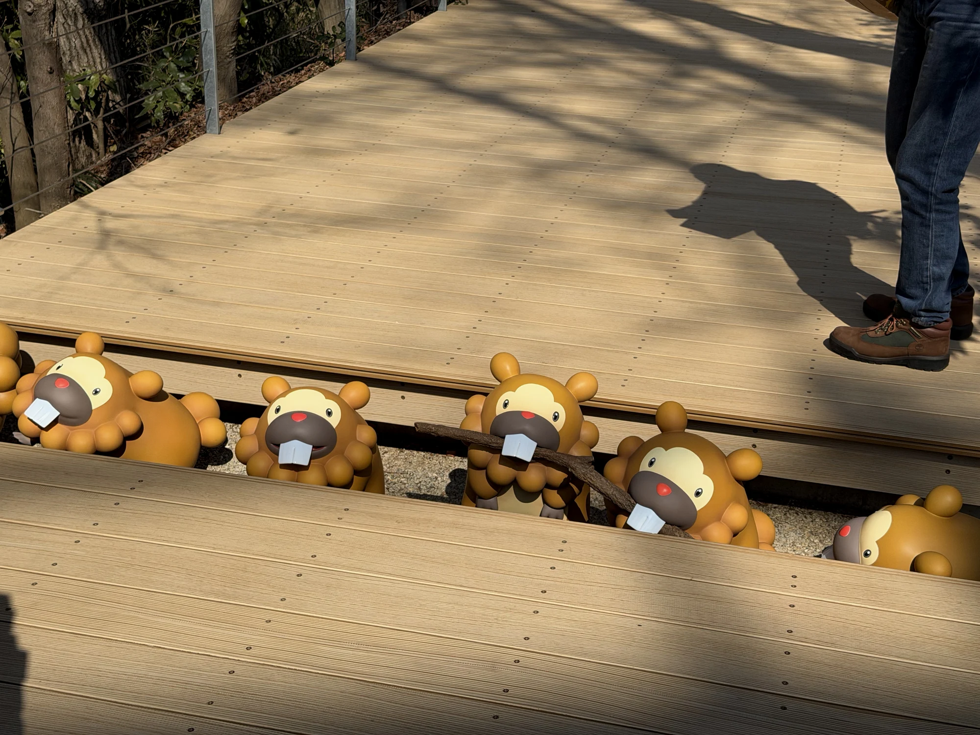 大牙狸搭桥中，大尾狸偷懒中