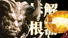 晓栏目