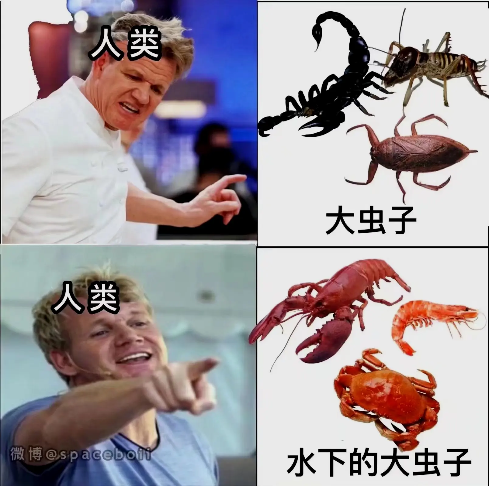 大家周日好,又到了每日meme时间! 愉快的双休日过的好快啊… ENJOY | 机组 | 机核 GCORES