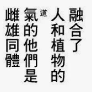 确实挺涩的