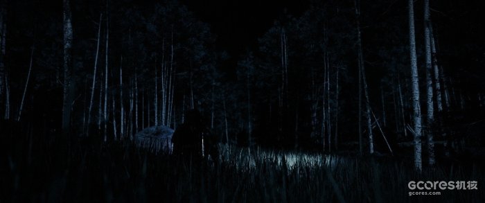 午夜的黑暗树林