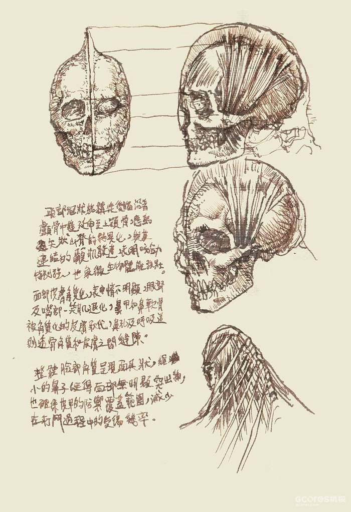 黏土制作丨巨人解剖学纪录 黏土制作丨巨人解剖学纪录