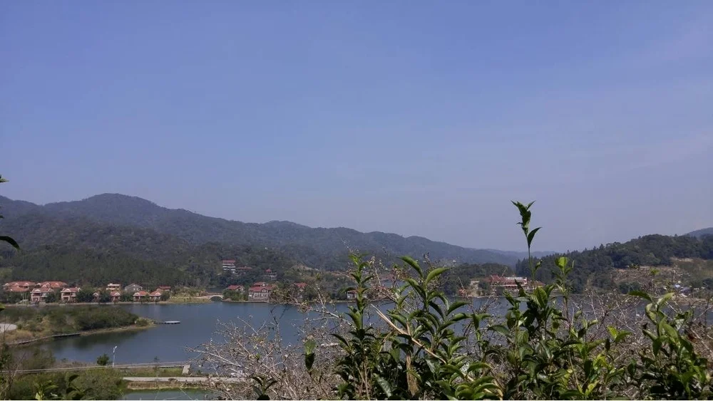 工作学习关系，跑过许多地方，图为海南蝴蝶谷