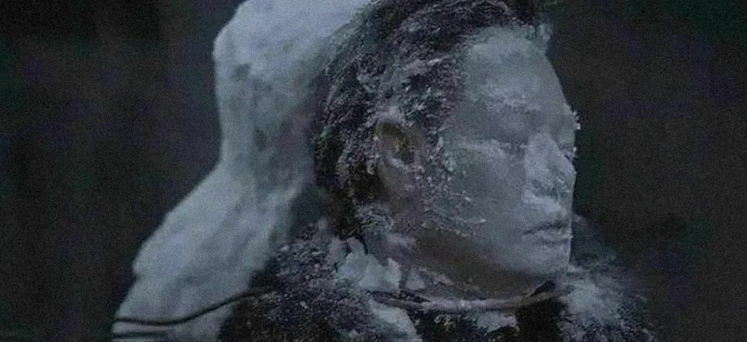 七个人组成的雪人，记录了这一年最恐怖的案件