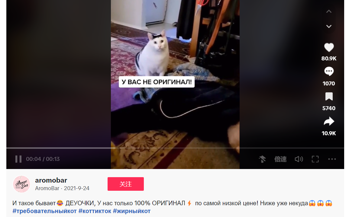 【烂梗】一些关于猫Meme元素的杂谈 12%title%