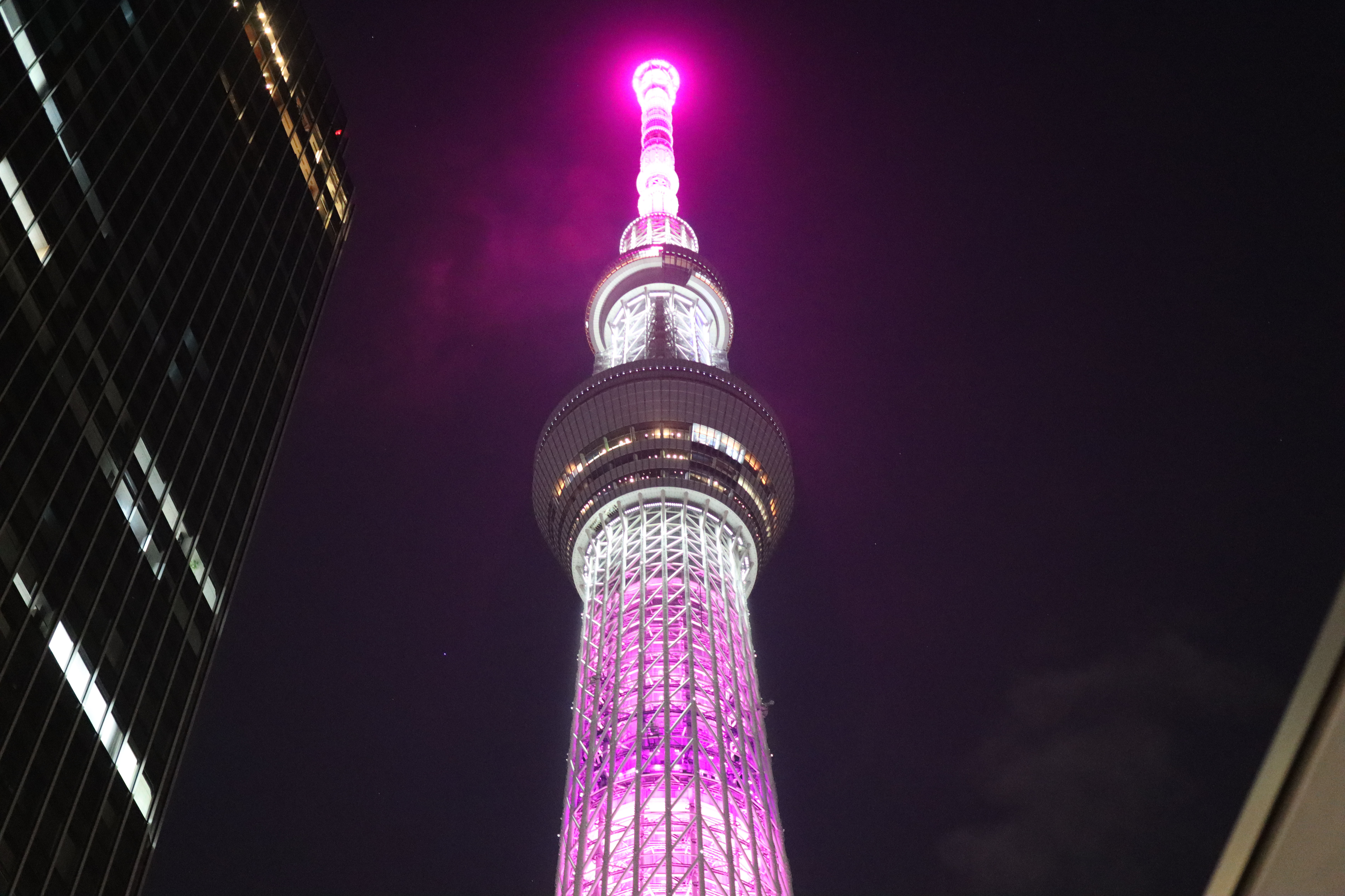 SkyTree