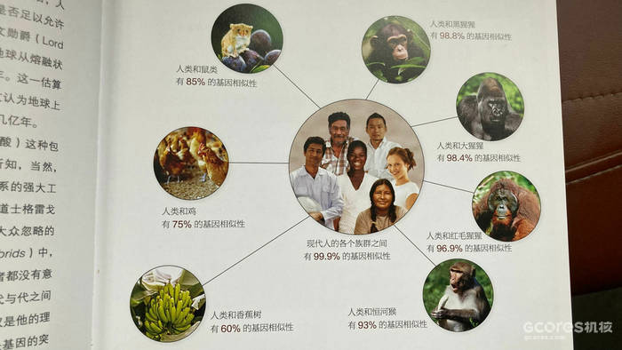 与猪同行:家猪的历史 与猪同行:家猪的历史