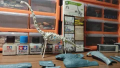 拿拼装当乐高玩