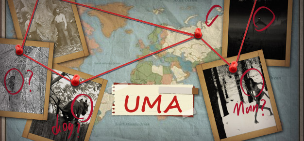 UMA神秘生物报告01：分布最广的那些野人们 1%title%