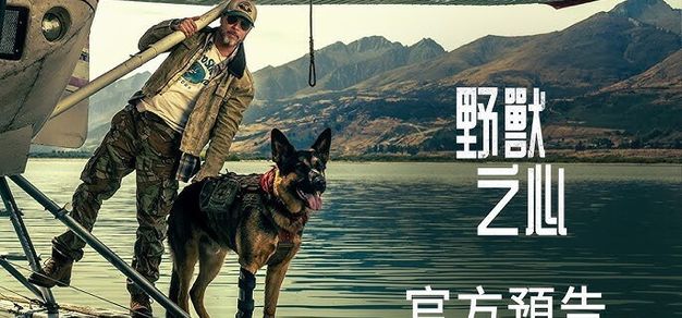 布拉德·皮特携战犬荒野求生：电影《野兽之心》发布首支预告