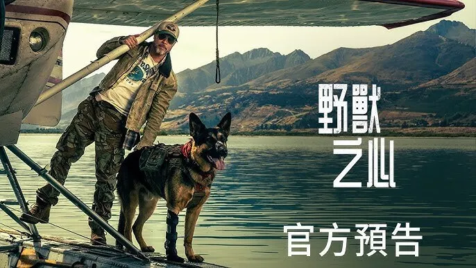 布拉德·皮特携战犬荒野求生：电影《野兽之心》发布首支预告