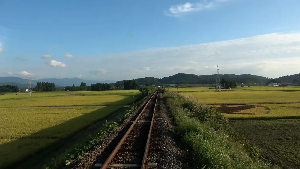稻田绘-鲸
