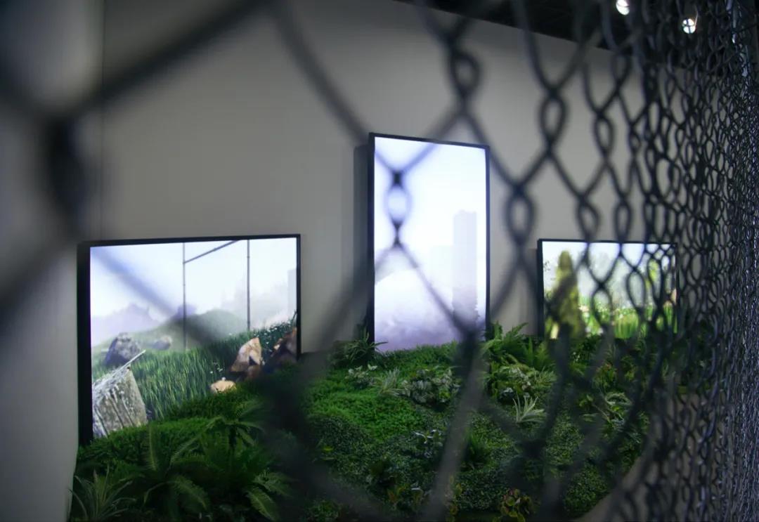 《忧郁的北温带》（2018），4'10''，三屏幕3D数字模拟影像装置，尺寸可变 