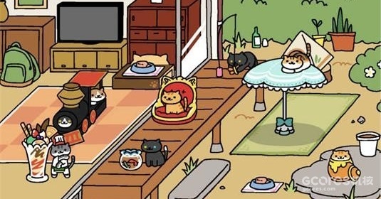 在你的后院放置道具,吸引各式各样的猫咪