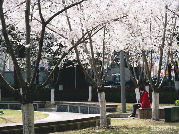 摄影分享丨这一年 摄影分享丨这一年