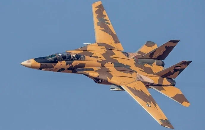 伊朗空军的枯叶迷彩F-14，让猫党和俄系党都很舒服