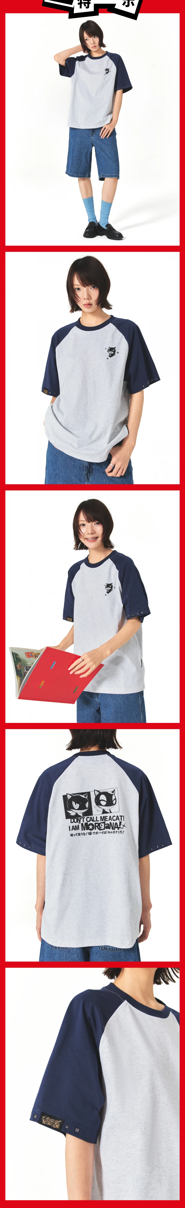 介绍图片