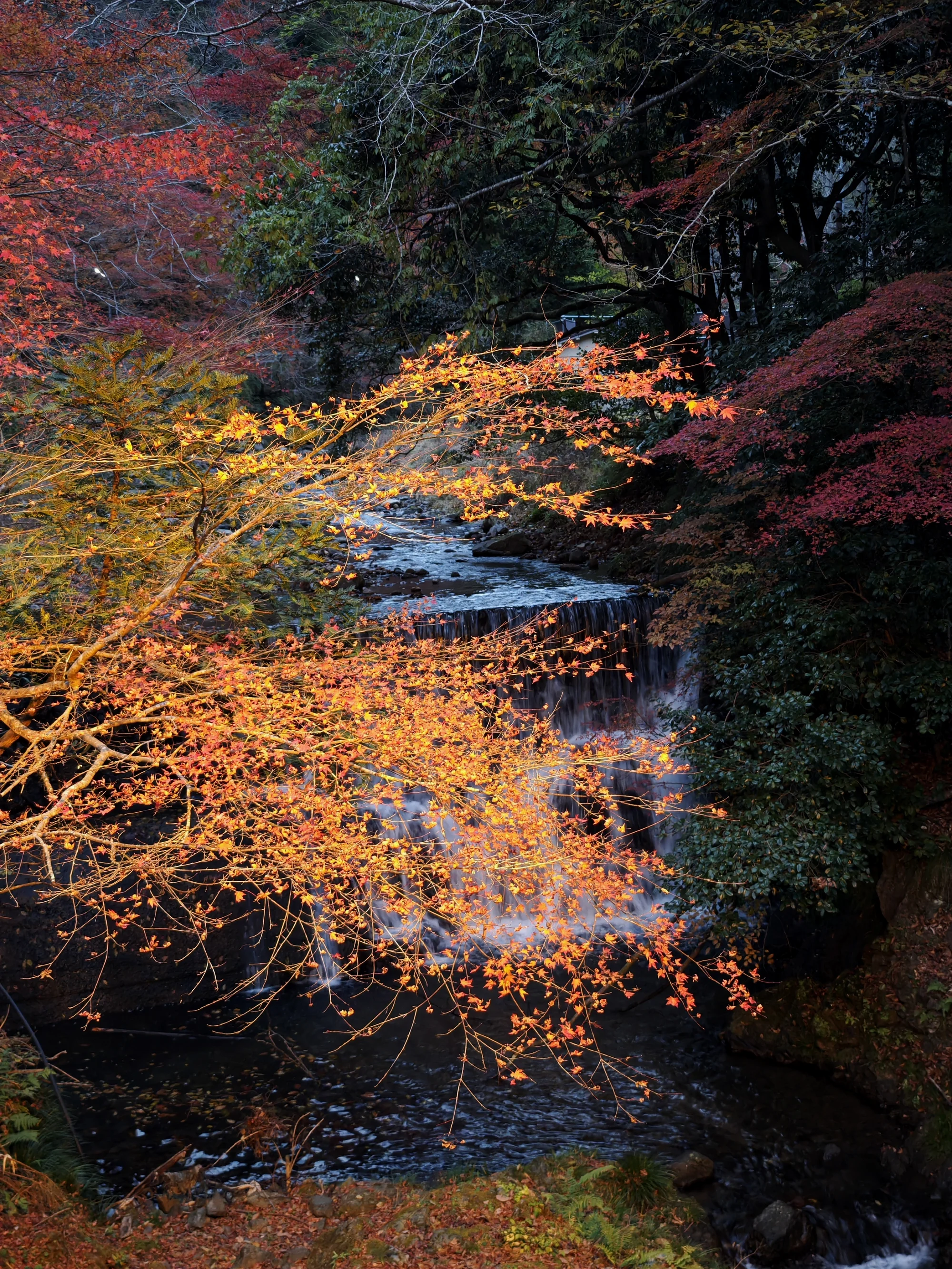 贵船的绚丽秋景