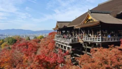 日本之旅