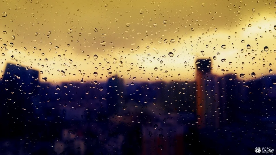 雨后，就是记忆作祟出来杀人，收割眼泪的时节（图片来自数字尾巴用户：西海de蓝）