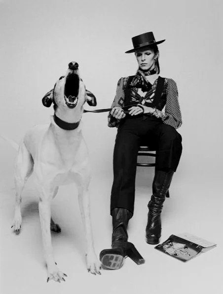 Terry O'Neill 所拍摄的 David Bowie