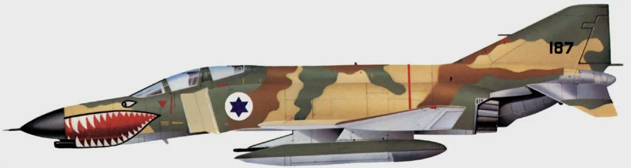 69中队的F-4E，有着狰狞的鲨鱼大嘴