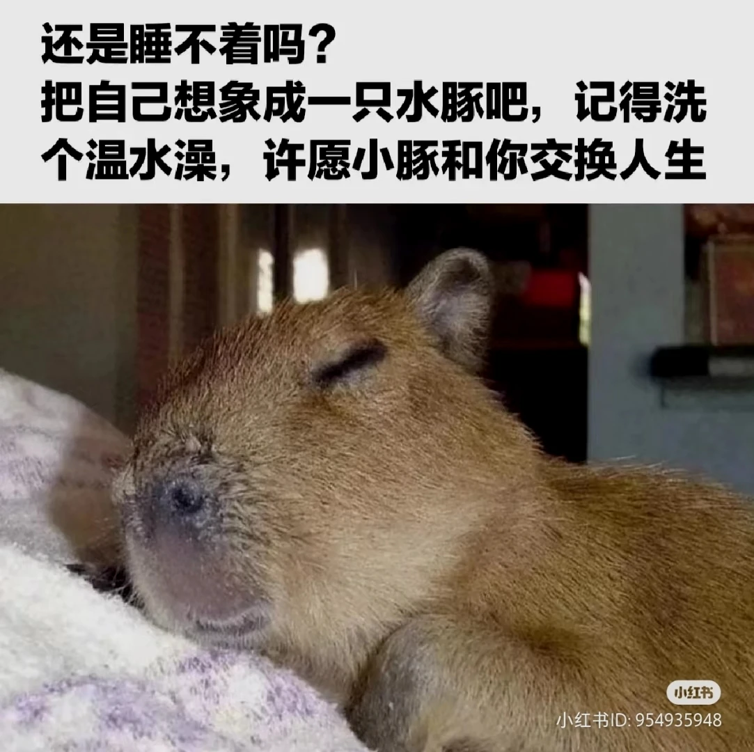 大家周日好,又到了每日meme时间 周日啊… ENJOY | 机组 | 机核 GCORES