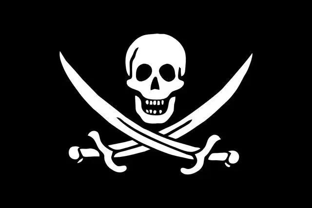 （广为人知的海盗骷髅头旗帜，其正式名称为“乔利·罗杰旗”。《刺客信条：黑旗》中的“黑旗”就是指它）  
