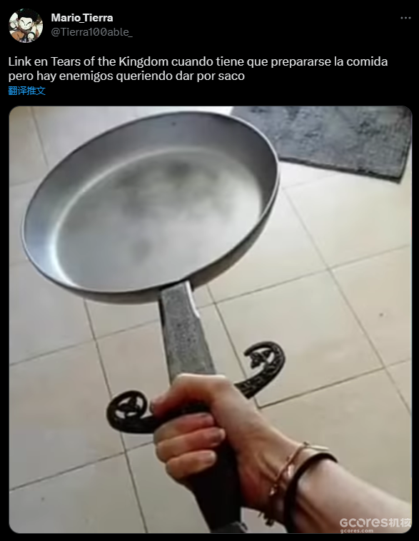 林克的新能力!《塞尔达传说 王国之泪》的梗图来了 林克的新能力!《塞尔达传说 王国之泪》的梗图来了