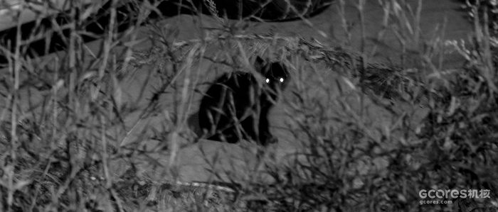 摄影分享丨这一年 摄影分享丨这一年