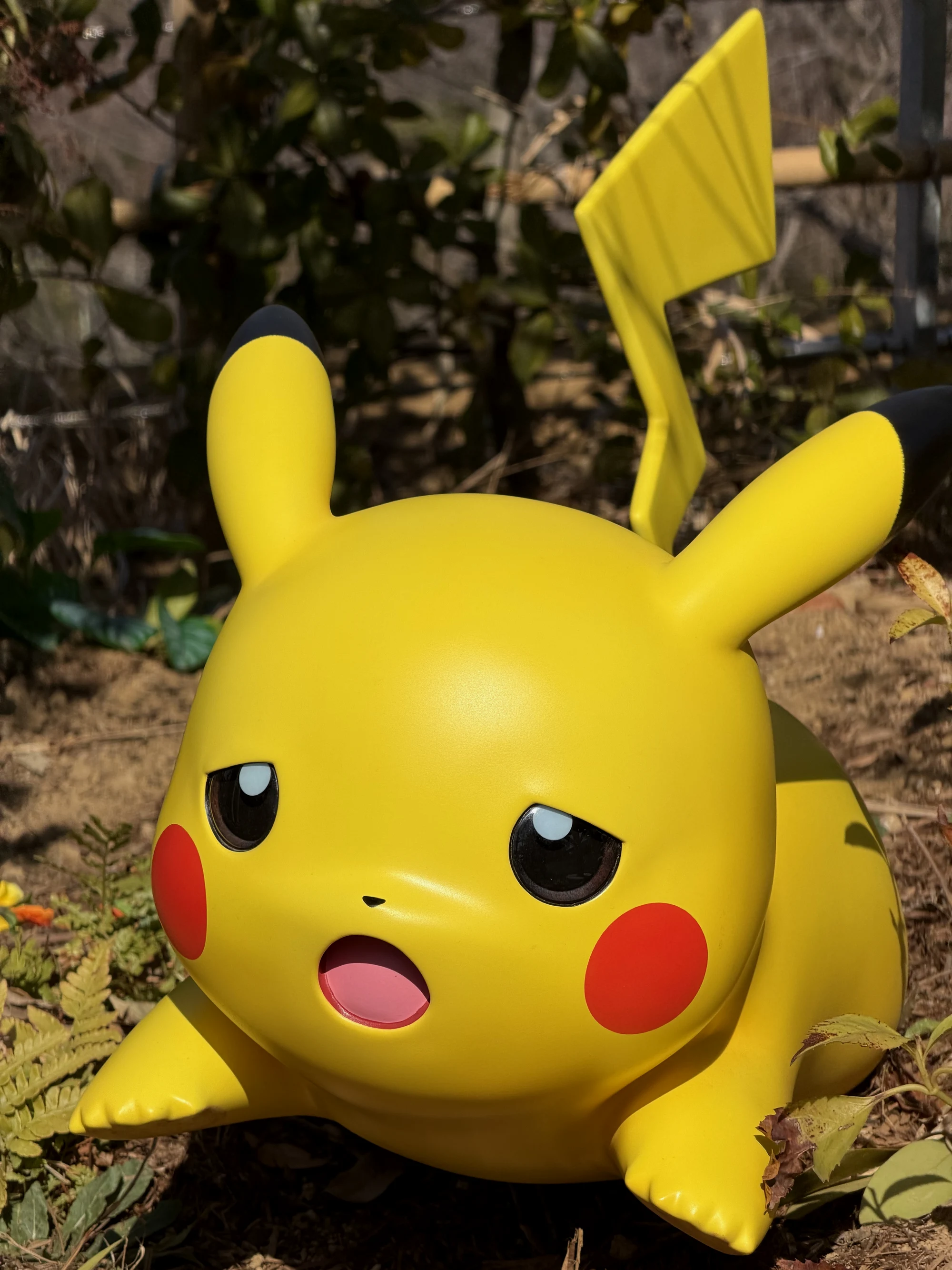 哦不，我的C位啊！