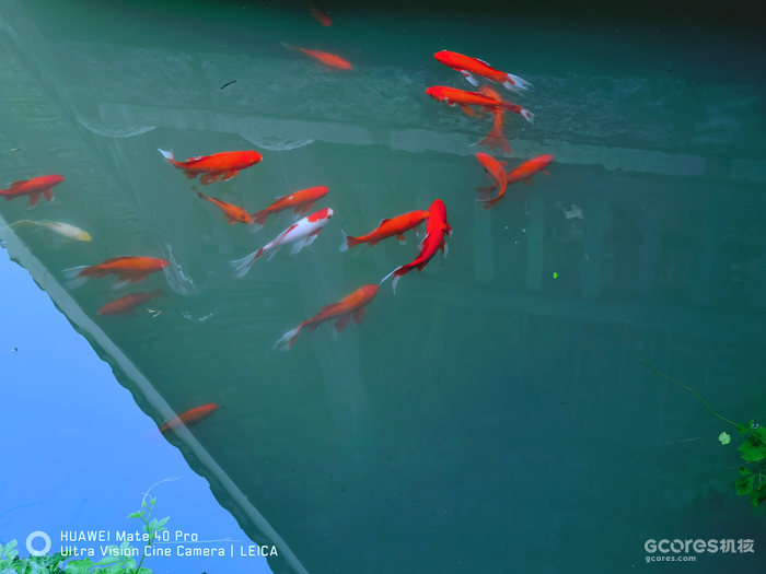 去阳朔玩的一些照片 去阳朔玩的一些照片