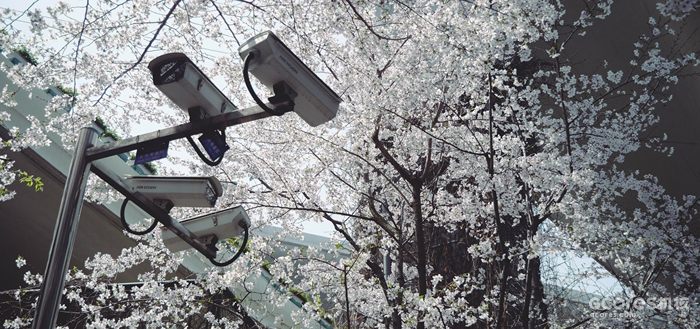 摄影分享丨这一年 摄影分享丨这一年