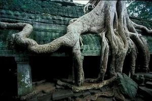 吴哥窟
