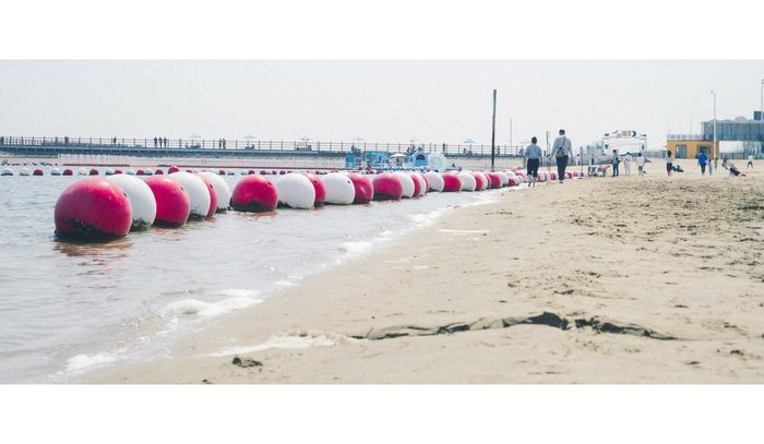 摄影分享丨这一年 摄影分享丨这一年