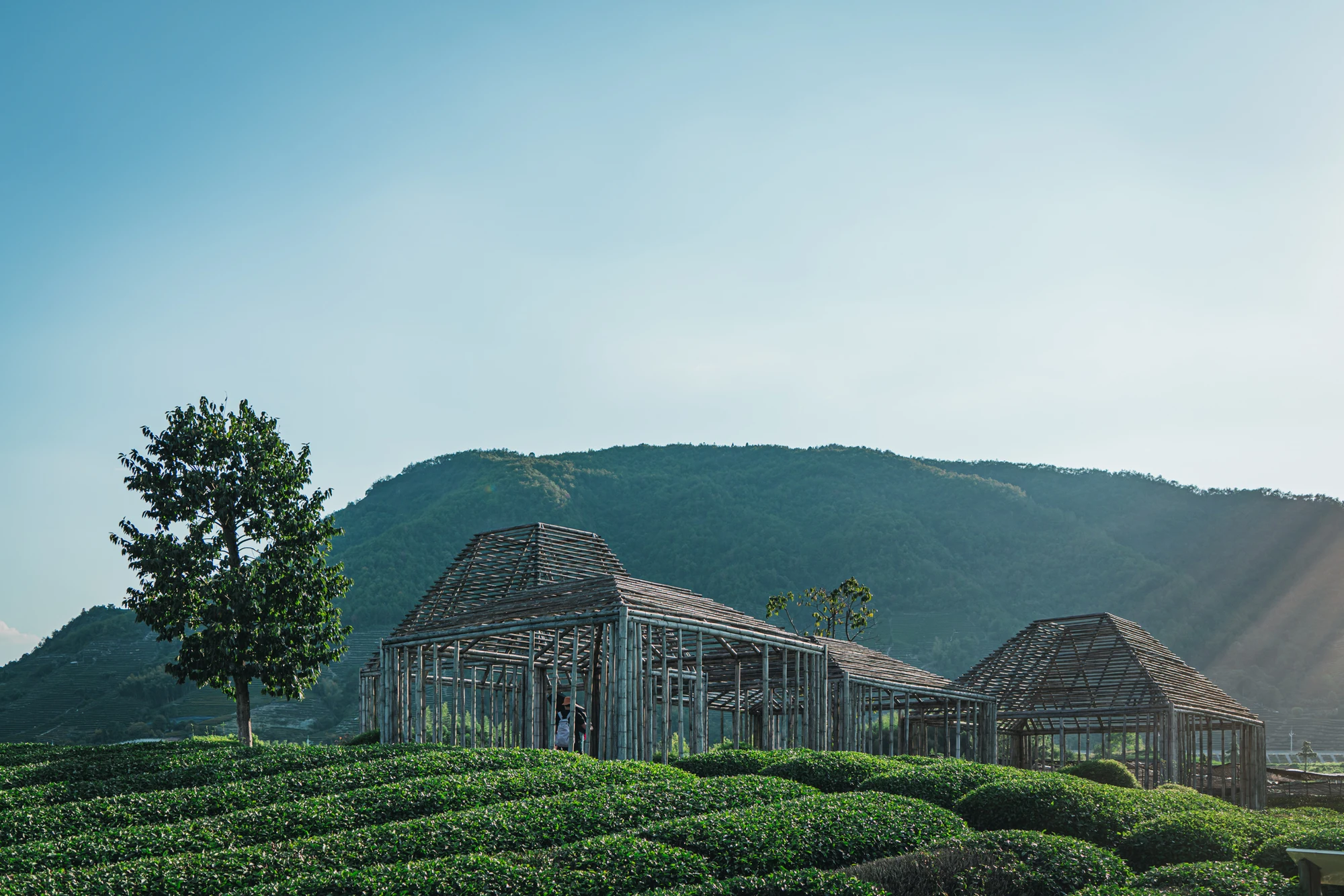 建筑考察-松阳茶亭