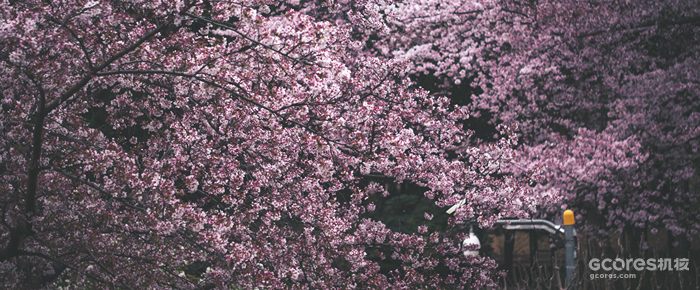 摄影分享丨这一年 摄影分享丨这一年