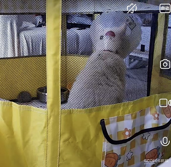 忧郁的半挂卡车