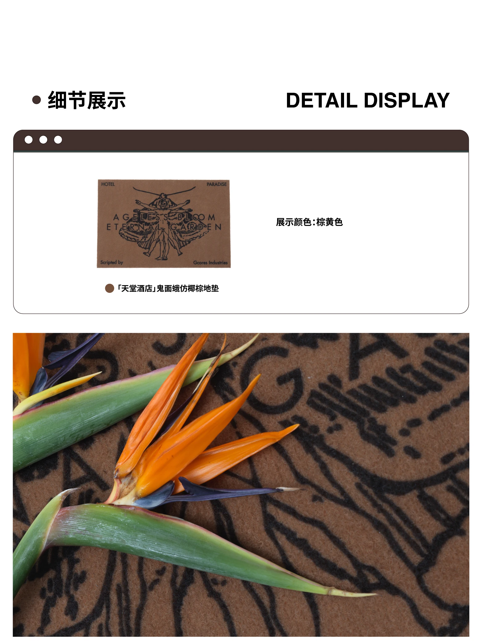 介绍图片