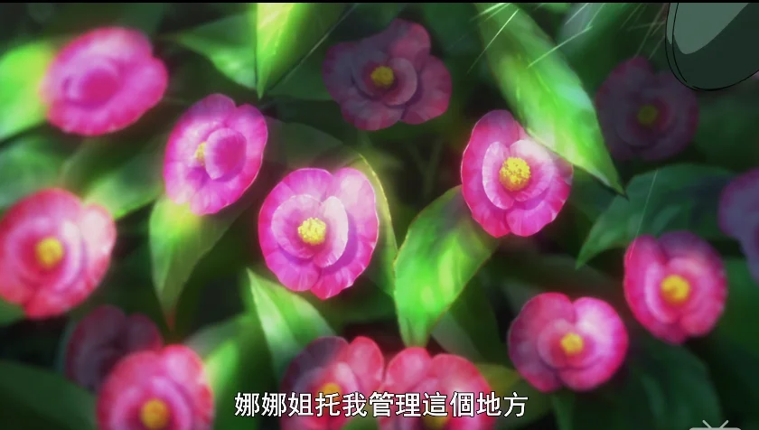 不认识