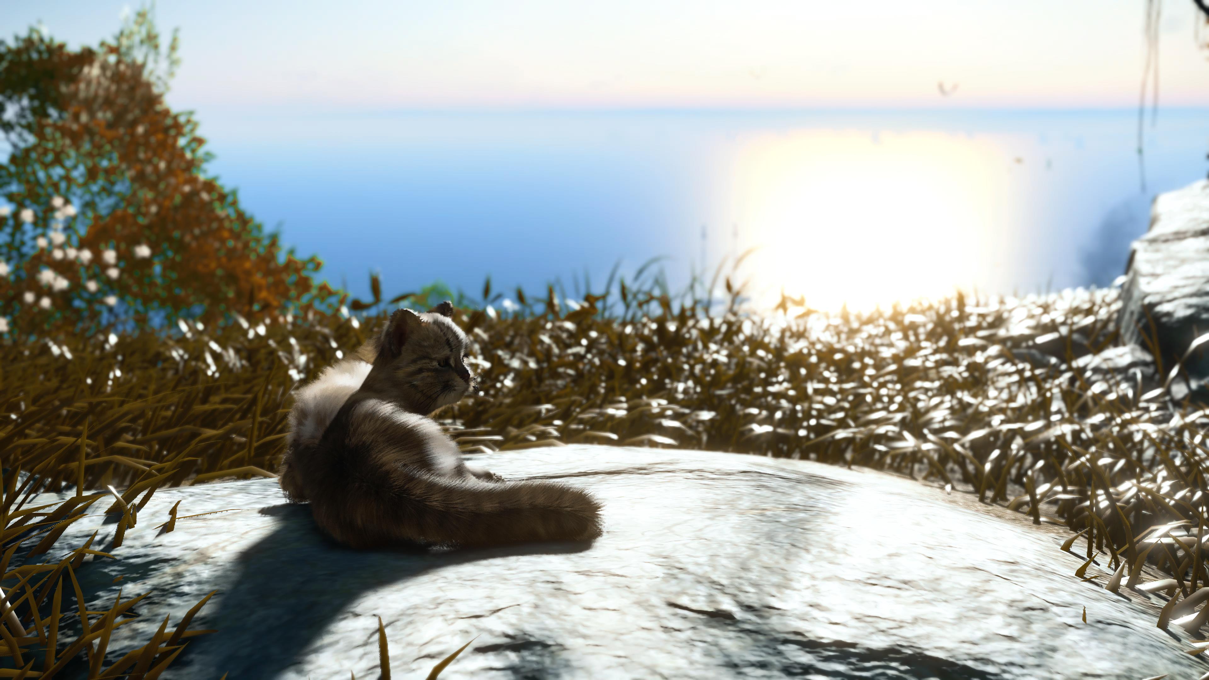 再探对马：随着《对马岛之魂》DLC发售的二次摄影之旅