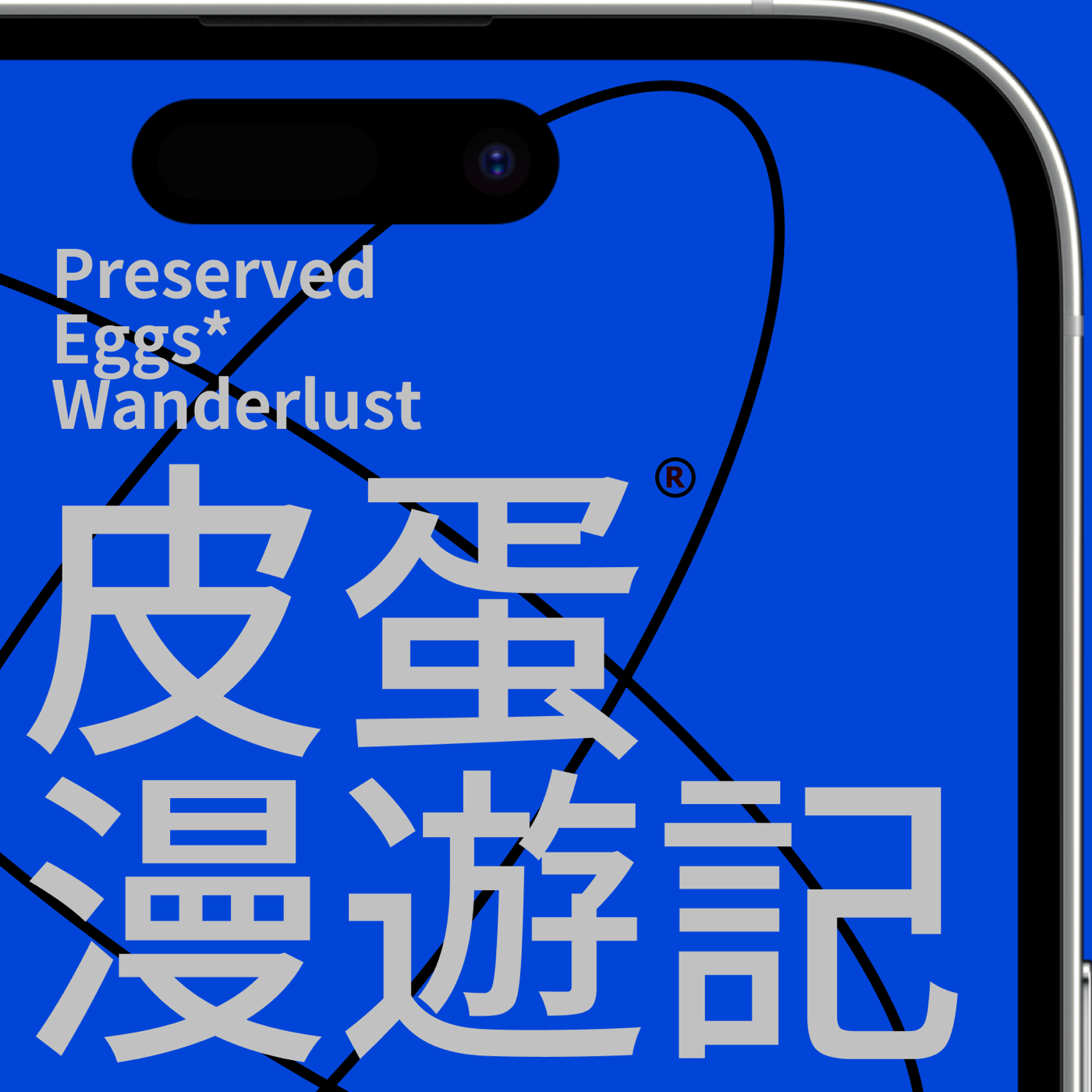 中博体育APP截图1