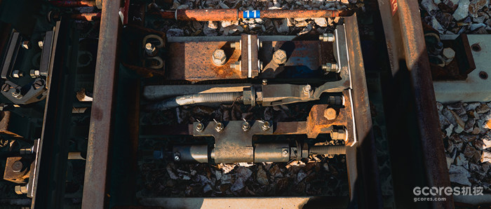 摄影分享丨这一年 摄影分享丨这一年