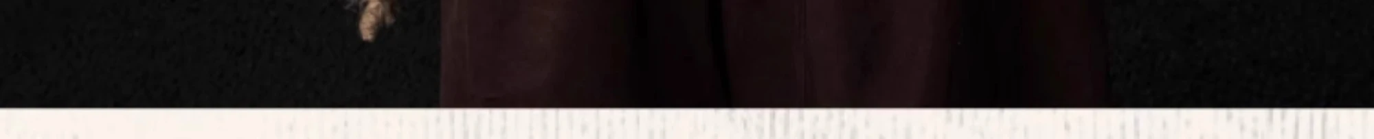介绍图片