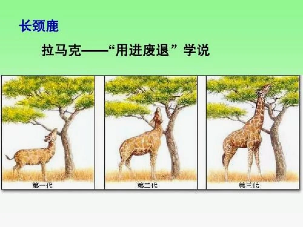 用进废退学说
