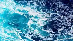 Halcyon