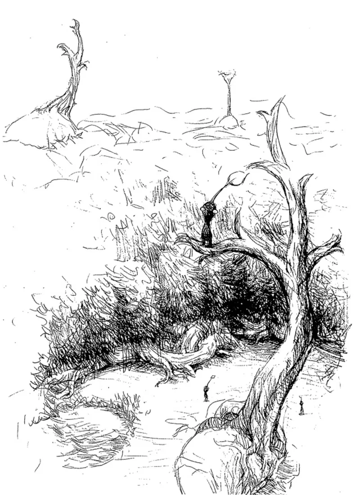 译介丨《皮克敏4》开发者访谈 part.1 译介丨《皮克敏4》开发者访谈 part.1