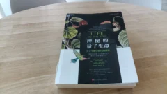 读书